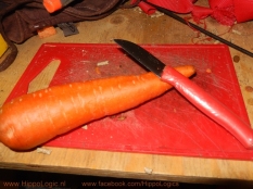 _cutting_carrot_hippologic
