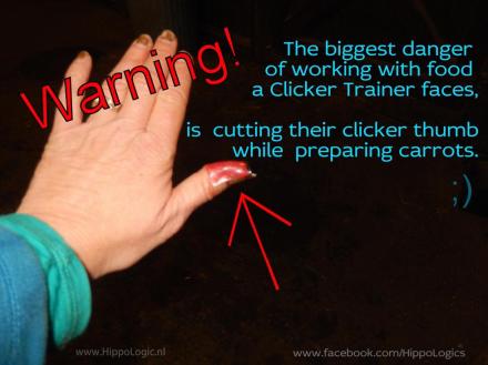 _danger_clicker training_hippologic