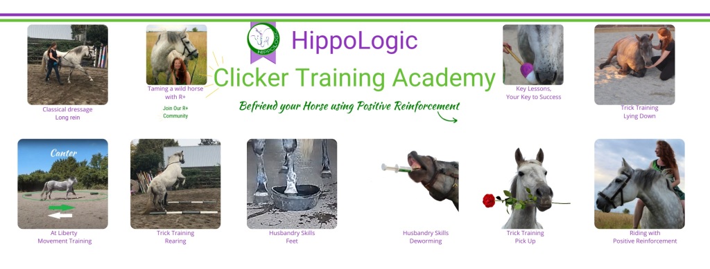 HippoLogic Clicker Training Academy transforms horsewomen into clicker trainsters