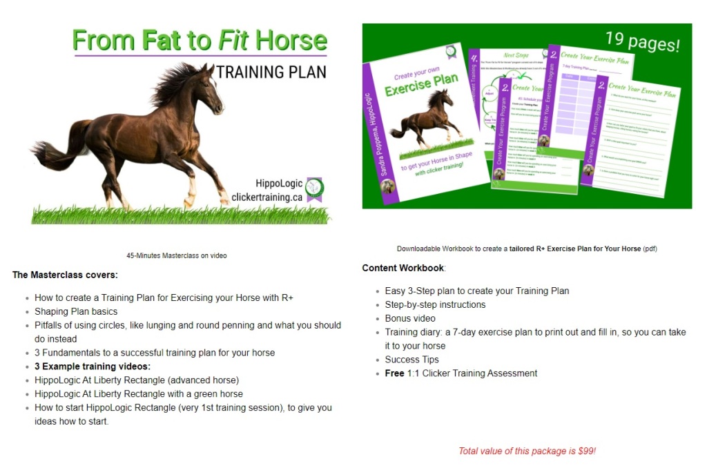 Masterclass Create a Tailored Exercise Training Plan to get your horse fit. This Masterclass comes with a workbook and clear step-by-step instructions